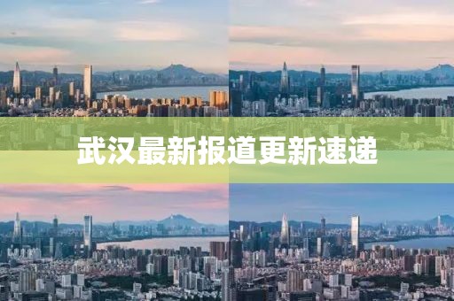 武汉最新报道更新速递