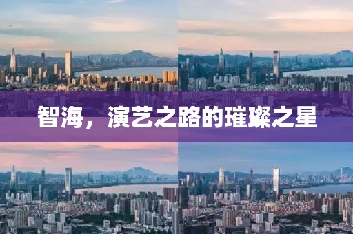 智海，演艺之路的璀璨之星