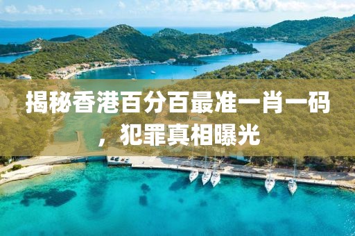 揭秘香港百分百最准一肖一码，犯罪真相曝光