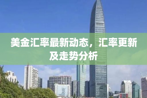 美金汇率最新动态，汇率更新及走势分析