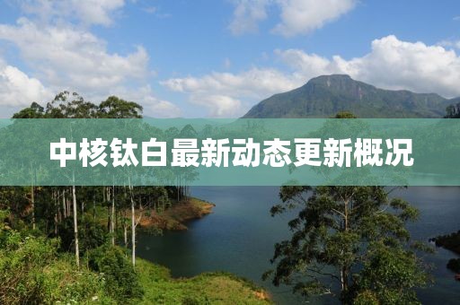 中核钛白最新动态更新概况