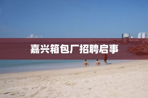 嘉兴箱包厂招聘启事