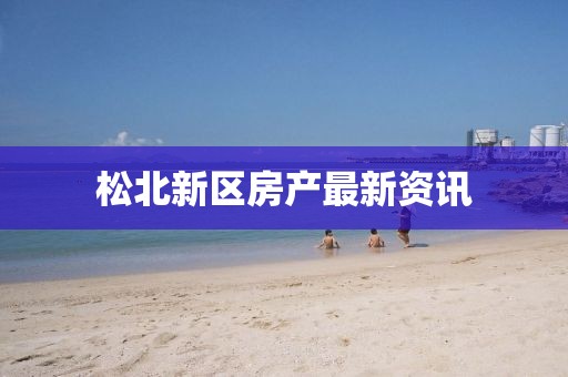 松北新区房产最新资讯