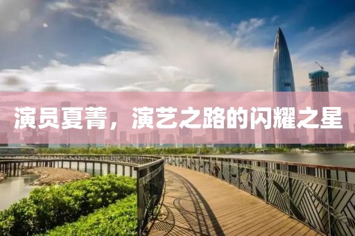 演员夏菁，演艺之路的闪耀之星