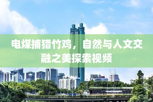 电煤捕猎竹鸡，自然与人文交融之美探索视频