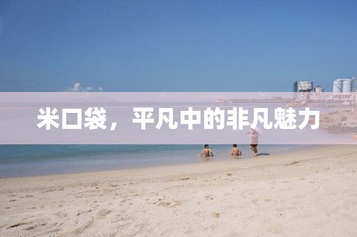 米口袋，平凡中的非凡魅力