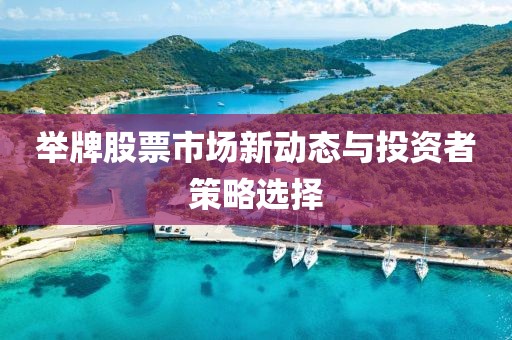 举牌股票市场新动态与投资者策略选择