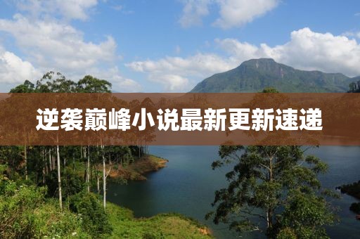 逆袭巅峰小说最新更新速递