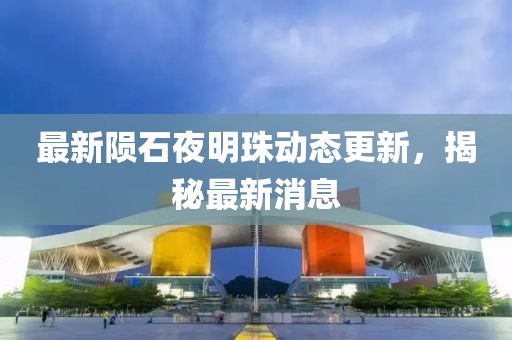 最新陨石夜明珠动态更新，揭秘最新消息