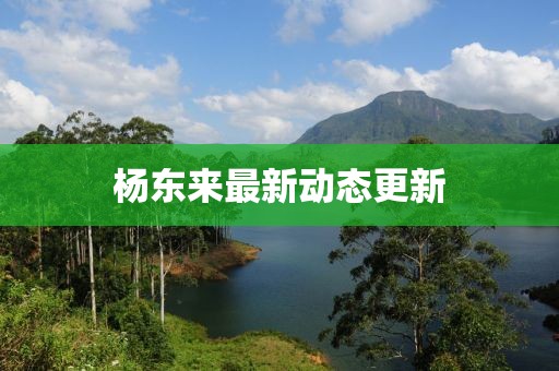 杨东来最新动态更新
