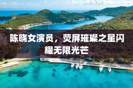 陈晓女演员，荧屏璀璨之星闪耀无限光芒