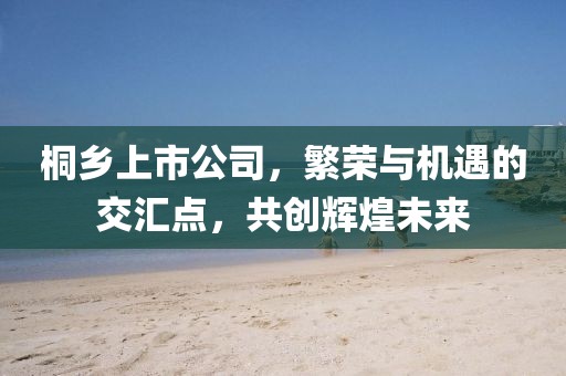 桐乡上市公司，繁荣与机遇的交汇点，共创辉煌未来