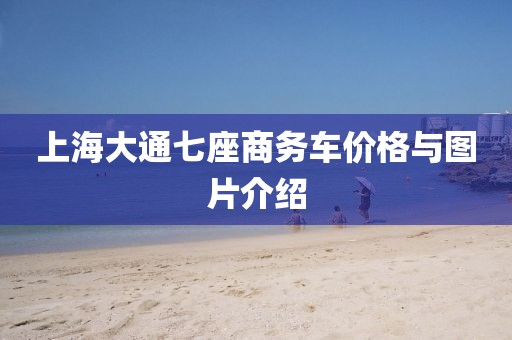 上海大通七座商务车价格与图片介绍