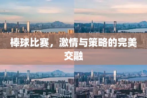 棒球比赛，激情与策略的完美交融