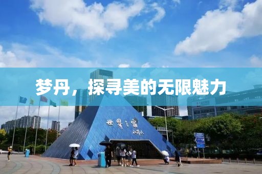 梦丹，探寻美的无限魅力