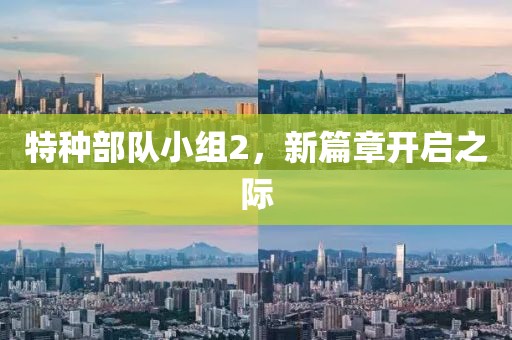 特种部队小组2，新篇章开启之际