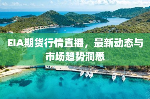 EIA期货行情直播，最新动态与市场趋势洞悉