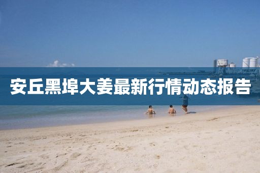 安丘黑埠大姜最新行情动态报告