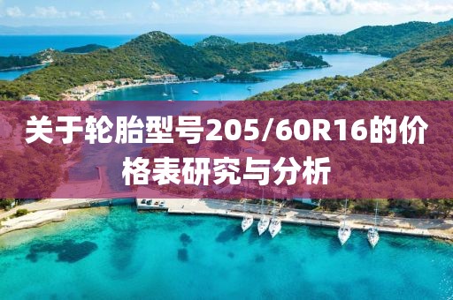 关于轮胎型号205/60R16的价格表研究与分析