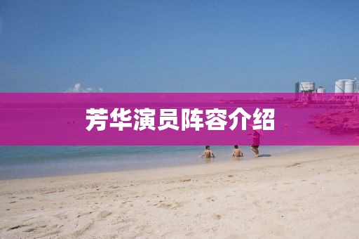 芳华演员阵容介绍