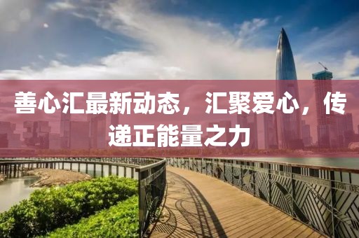善心汇最新动态，汇聚爱心，传递正能量之力