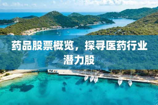 药品股票概览，探寻医药行业潜力股