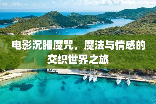 电影沉睡魔咒，魔法与情感的交织世界之旅