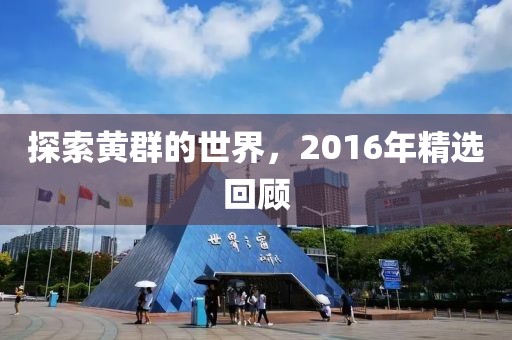 探索黄群的世界，2016年精选回顾