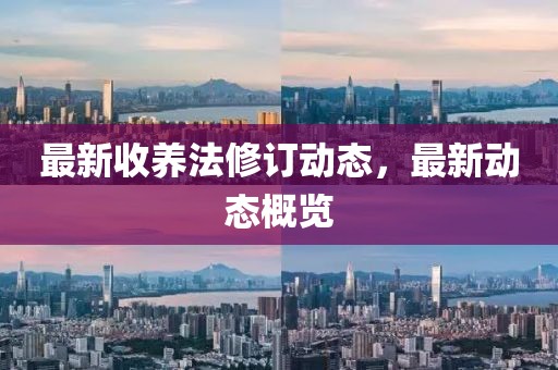 最新收养法修订动态，最新动态概览