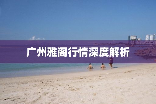 广州雅阁行情深度解析