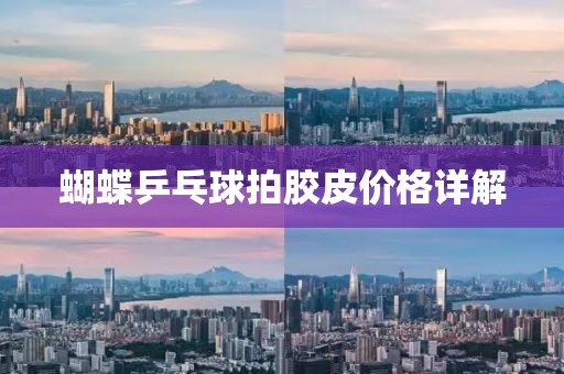 蝴蝶乒乓球拍胶皮价格详解