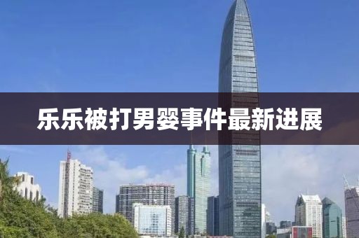 乐乐被打男婴事件最新进展