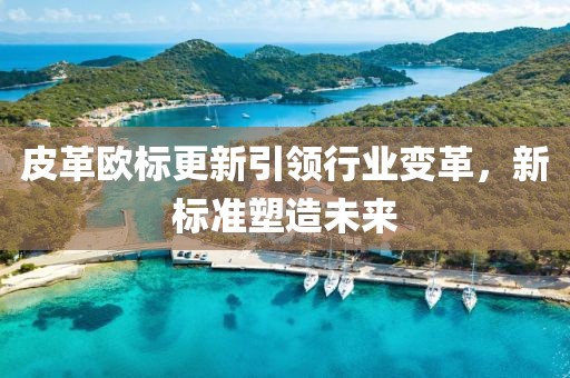 皮革欧标更新引领行业变革，新标准塑造未来