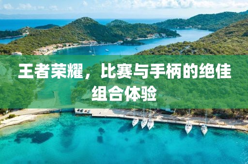 王者荣耀，比赛与手柄的绝佳组合体验