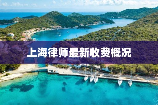 上海律师最新收费概况