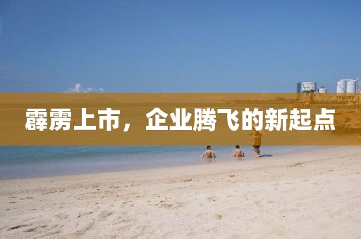 霹雳上市，企业腾飞的新起点