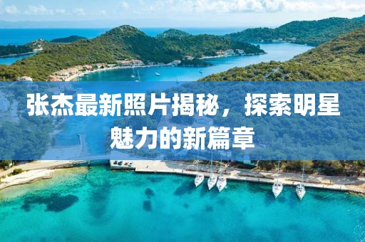 张杰最新照片揭秘，探索明星魅力的新篇章