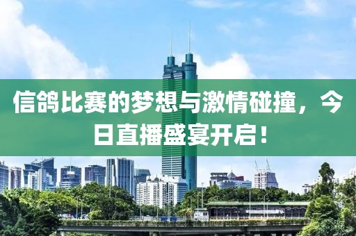 信鸽比赛的梦想与激情碰撞，今日直播盛宴开启！