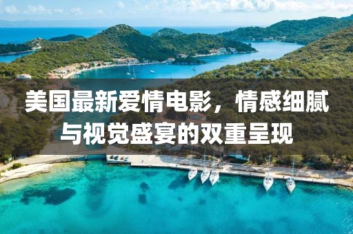 美国最新爱情电影，情感细腻与视觉盛宴的双重呈现