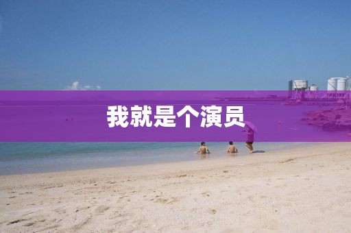我就是个演员