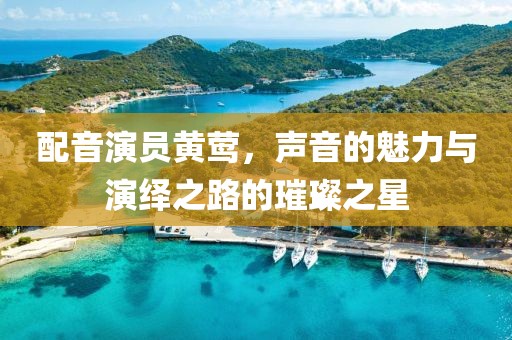 配音演员黄莺，声音的魅力与演绎之路的璀璨之星