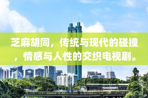 芝麻胡同，传统与现代的碰撞，情感与人性的交织电视剧。