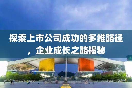 探索上市公司成功的多维路径，企业成长之路揭秘