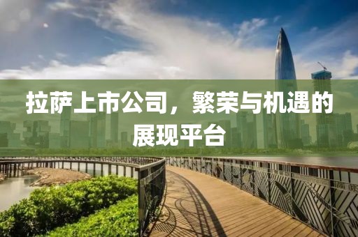 拉萨上市公司，繁荣与机遇的展现平台
