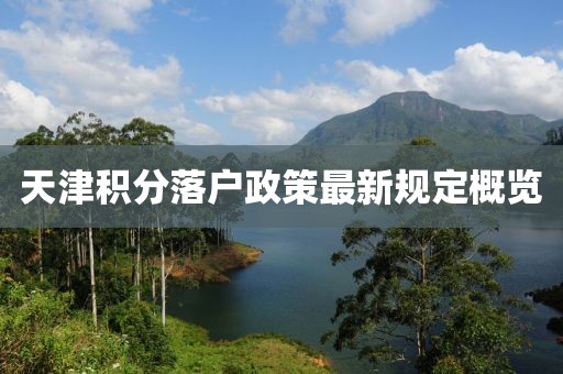 天津积分落户政策最新规定概览