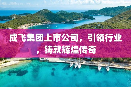 成飞集团上市公司，引领行业，铸就辉煌传奇
