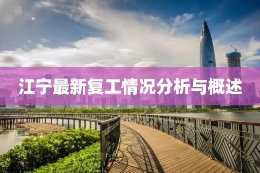 江宁最新复工情况分析与概述