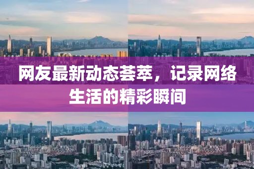 网友最新动态荟萃，记录网络生活的精彩瞬间