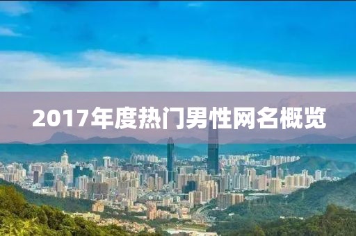 2017年度热门男性网名概览