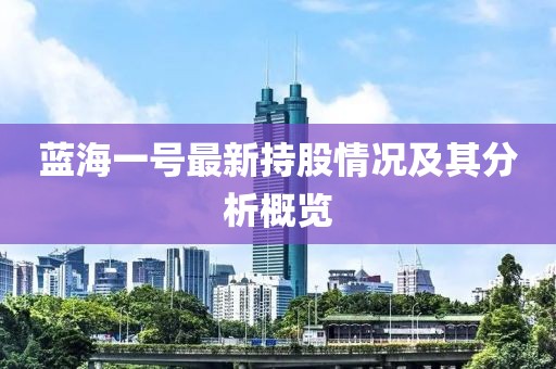 蓝海一号最新持股情况及其分析概览